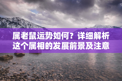 属老鼠运势如何？详细解析这个属相的发展前景及注意事项！