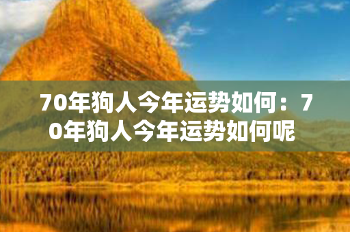 70年狗人今年运势如何：70年狗人今年运势如何呢 