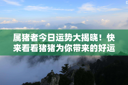 属猪者今日运势大揭晓！快来看看猪猪为你带来的好运秘籍！