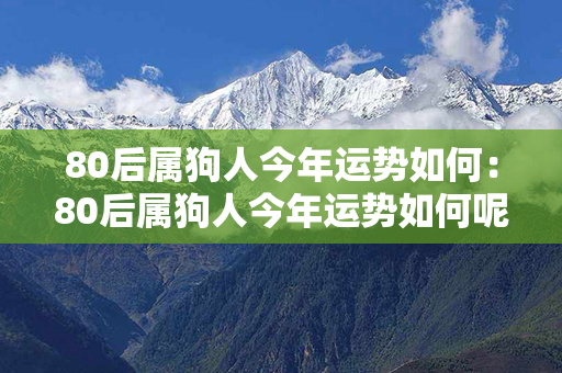 80后属狗人今年运势如何：80后属狗人今年运势如何呢 