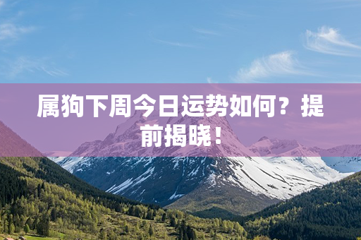 属狗下周今日运势如何？提前揭晓！