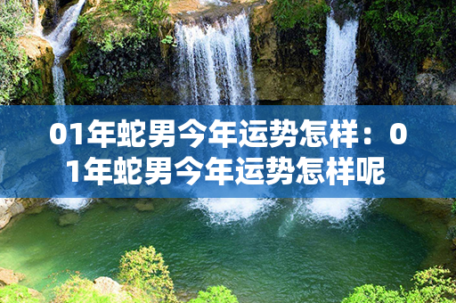 01年蛇男今年运势怎样：01年蛇男今年运势怎样呢 