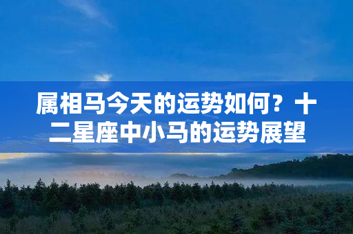 属相马今天的运势如何？十二星座中小马的运势展望