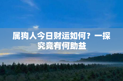 属狗人今日财运如何？一探究竟有何助益