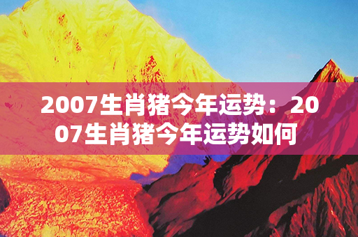 2007生肖猪今年运势：2007生肖猪今年运势如何 