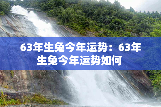 63年生兔今年运势：63年生兔今年运势如何 