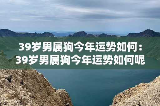 39岁男属狗今年运势如何：39岁男属狗今年运势如何呢 