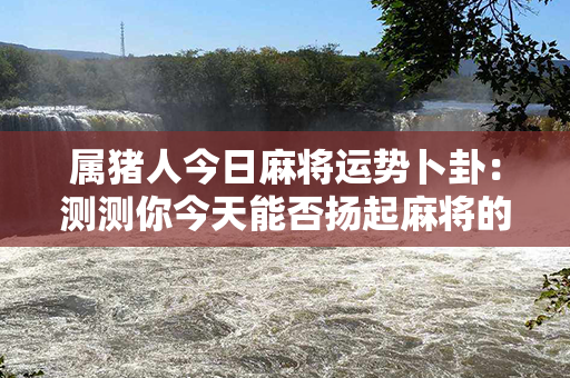 属猪人今日麻将运势卜卦：测测你今天能否扬起麻将的胜利旗帜？