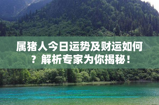 属猪人今日运势及财运如何？解析专家为你揭秘！