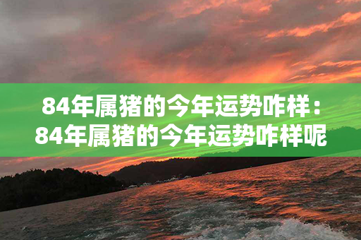 84年属猪的今年运势咋样：84年属猪的今年运势咋样呢 