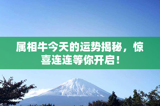 属相牛今天的运势揭秘，惊喜连连等你开启！