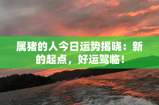 属猪的人今日运势揭晓：新的起点，好运驾临！