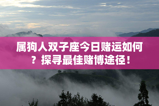 属狗人双子座今日赌运如何？探寻最佳赌博途径！