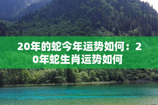 20年的蛇今年运势如何：20年蛇生肖运势如何 