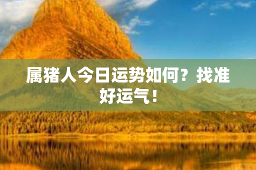 属猪人今日运势如何？找准好运气！