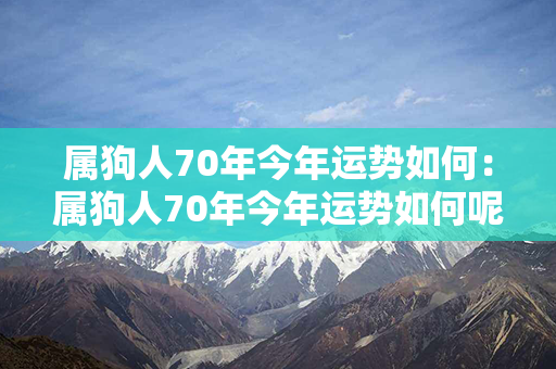 属狗人70年今年运势如何：属狗人70年今年运势如何呢 