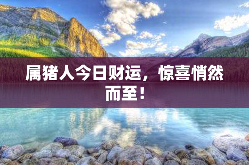 属猪人今日财运，惊喜悄然而至！