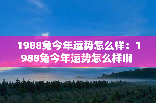 1988兔今年运势怎么样：1988兔今年运势怎么样啊 