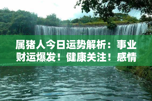 属猪人今日运势解析：事业财运爆发！健康关注！感情幸运！