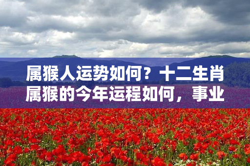 属猴人运势如何？十二生肖属猴的今年运程如何，事业、感情、财运展望