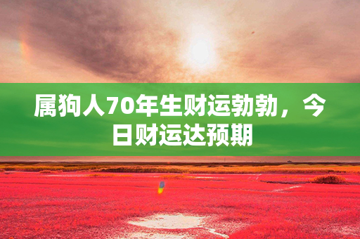 属狗人70年生财运勃勃，今日财运达预期