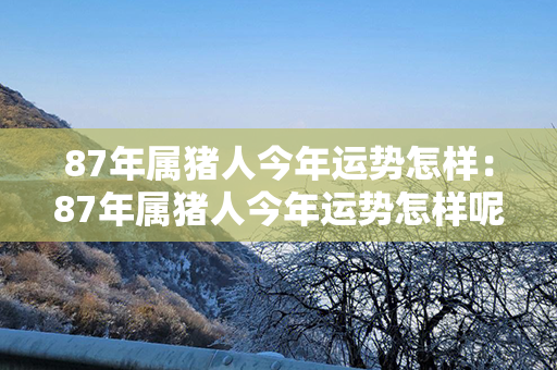 87年属猪人今年运势怎样：87年属猪人今年运势怎样呢 