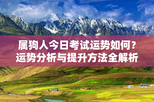 属狗人今日考试运势如何？运势分析与提升方法全解析！