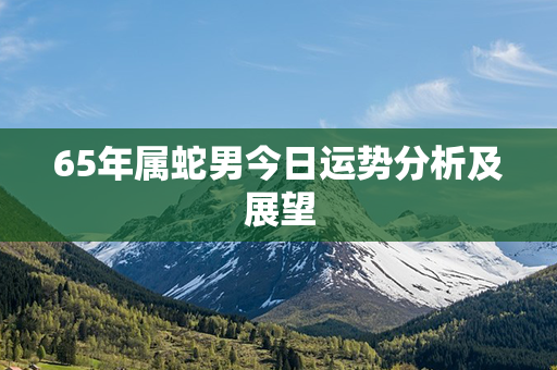 65年属蛇男今日运势分析及展望