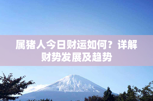 属猪人今日财运如何？详解财势发展及趋势