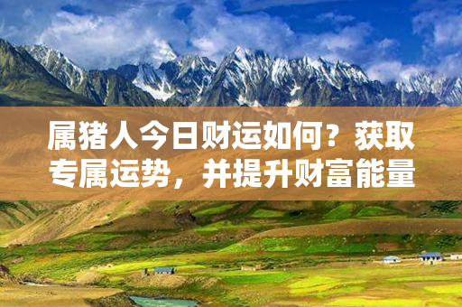 属猪人今日财运如何？获取专属运势，并提升财富能量！