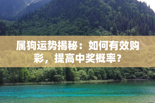 属狗运势揭秘：如何有效购彩，提高中奖概率？