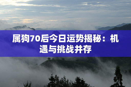 属狗70后今日运势揭秘：机遇与挑战并存