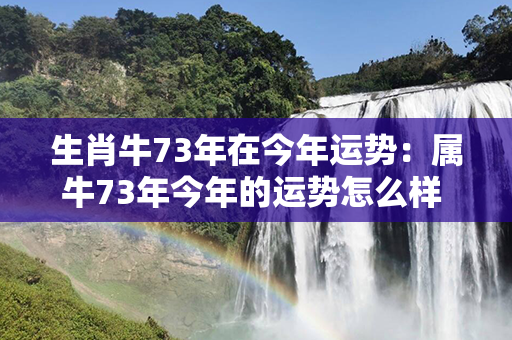 生肖牛73年在今年运势：属牛73年今年的运势怎么样 