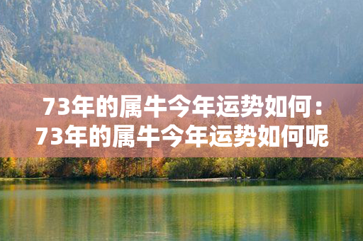 73年的属牛今年运势如何：73年的属牛今年运势如何呢 