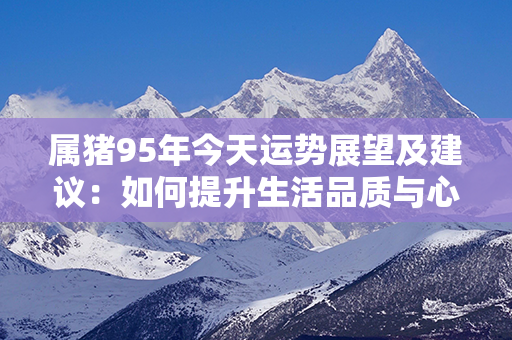 属猪95年今天运势展望及建议：如何提升生活品质与心态，不再受外界干扰？