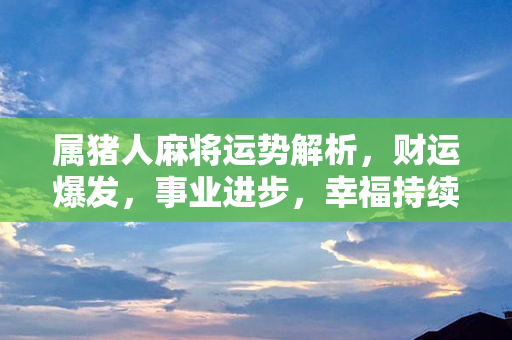 属猪人麻将运势解析，财运爆发，事业进步，幸福持续，详细解读尽在这里！