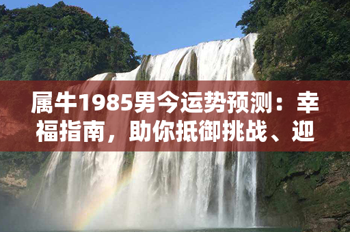 属牛1985男今运势预测：幸福指南，助你抵御挑战、迎接好运锦囊！