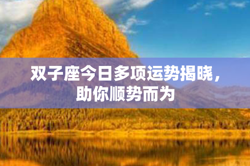 双子座今日多项运势揭晓，助你顺势而为