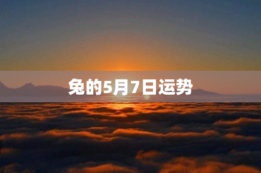 兔的5月7日运势