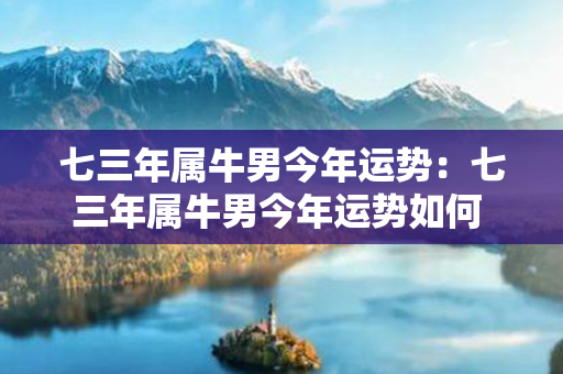 七三年属牛男今年运势：七三年属牛男今年运势如何 