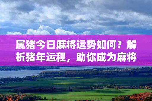 属猪今日麻将运势如何？解析猪年运程，助你成为麻将高手！