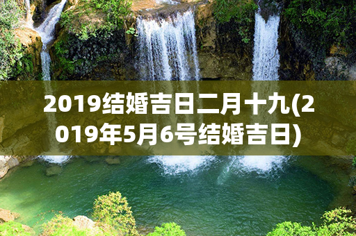 2019结婚吉日二月十九(2019年5月6号结婚吉日)