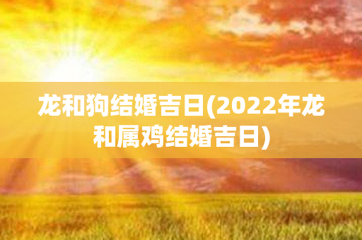 龙和狗结婚吉日(2022年龙和属鸡结婚吉日)