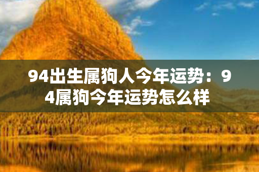 94出生属狗人今年运势：94属狗今年运势怎么样 