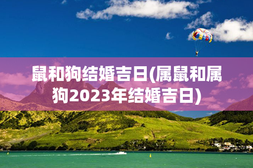 鼠和狗结婚吉日(属鼠和属狗2023年结婚吉日)