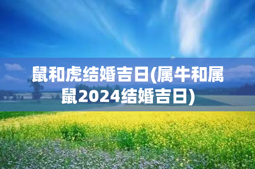 鼠和虎结婚吉日(属牛和属鼠2024结婚吉日)