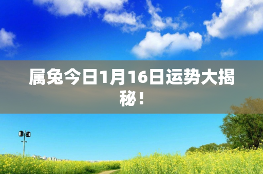 属兔今日1月16日运势大揭秘！