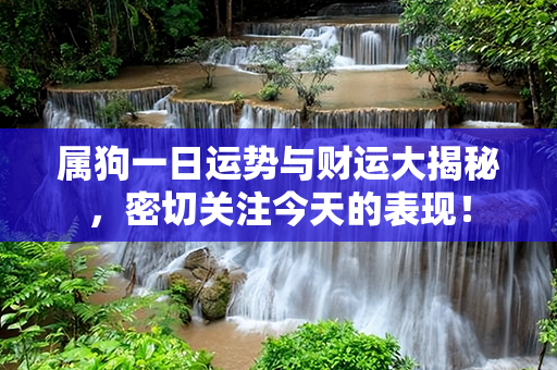 属狗一日运势与财运大揭秘，密切关注今天的表现！