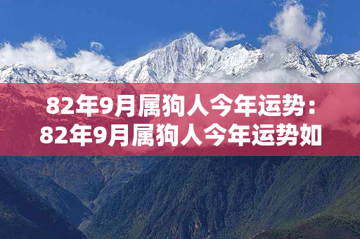 82年9月属狗人今年运势：82年9月属狗人今年运势如何 