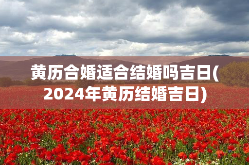 黄历合婚适合结婚吗吉日(2024年黄历结婚吉日)